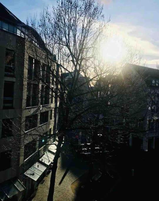 Charmantes 1Zi Apartment Im Herzen Von Braunschweig Mit Balkon Eksteriør billede